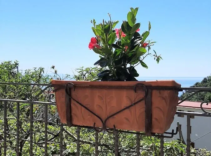 Apartmán Casa Almary