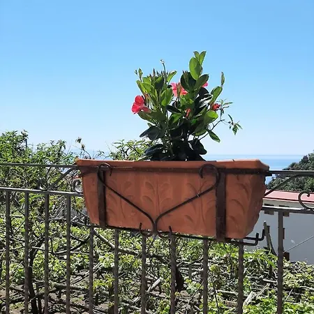 Appartement Casa Almary